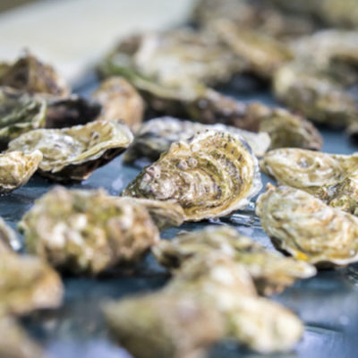 Huîtres la Calvadosienne